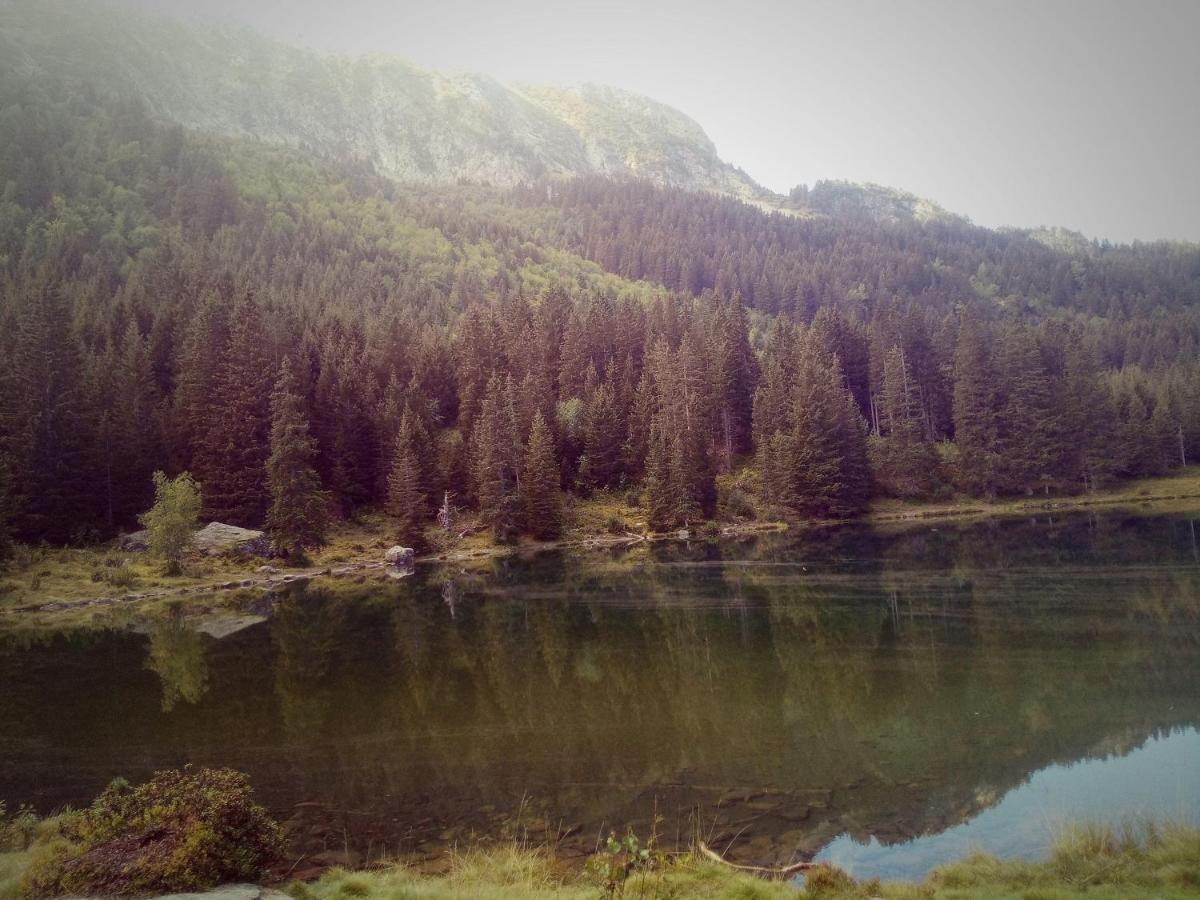 Au Calme Face Aux Montagnes Dans Station De La Morte