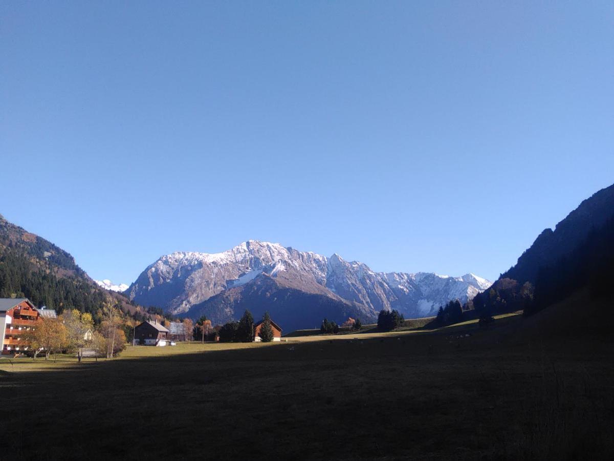 Apartment Au Calme Face Aux Montagnes Dans Station De *